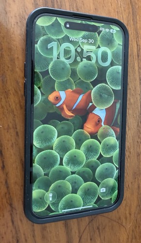 Apple iphone pro max - 14,