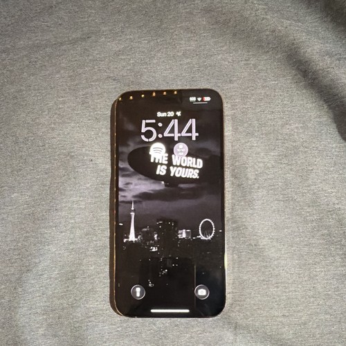 Apple iphone pro max gold - 14,